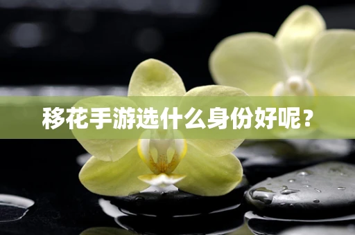 移花手游选什么身份好呢？