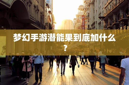 梦幻手游潜能果到底加什么？