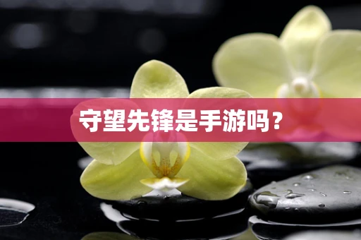 守望先锋是手游吗？