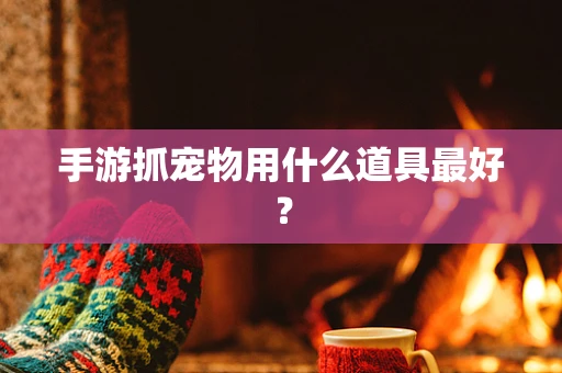 手游抓宠物用什么道具最好？