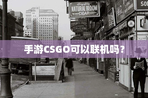 手游CSGO可以联机吗？