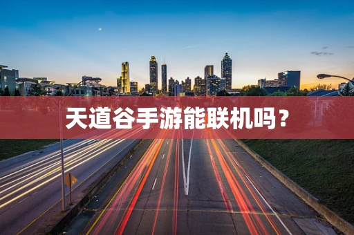 天道谷手游能联机吗？