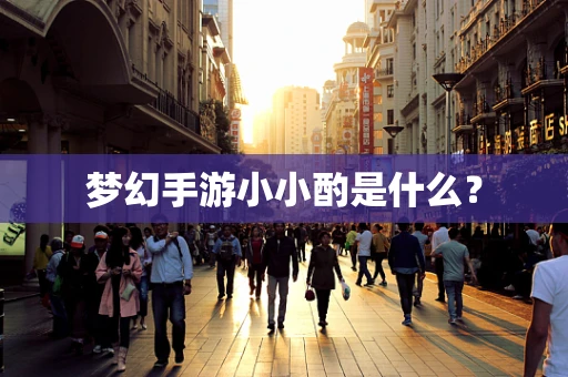 梦幻手游小小酌是什么？