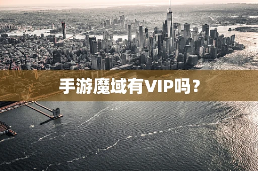 手游魔域有VIP吗？