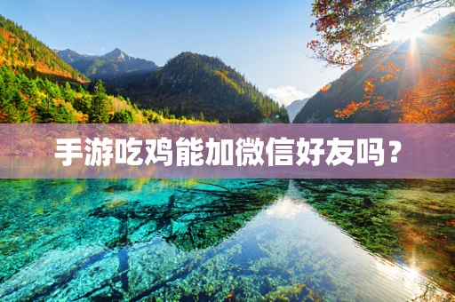 手游吃鸡能加微信好友吗？