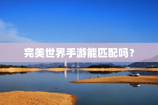 完美世界手游能匹配吗？