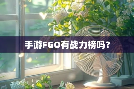 手游FGO有战力榜吗？