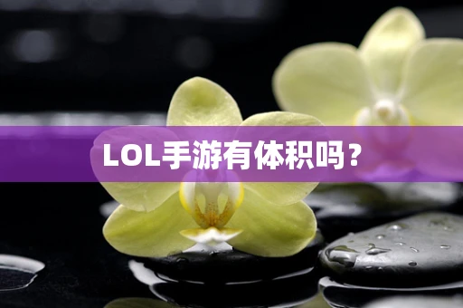 LOL手游有体积吗？