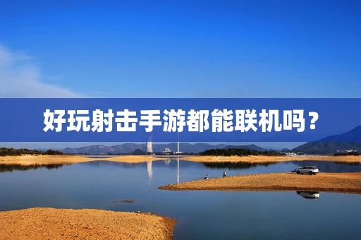 好玩射击手游都能联机吗？