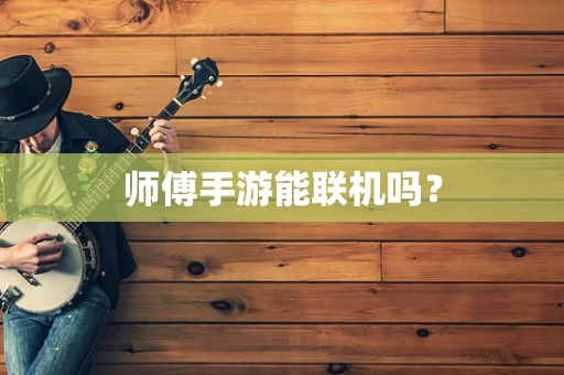 师傅手游能联机吗？
