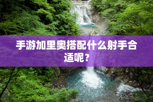 手游加里奥搭配什么射手合适呢？