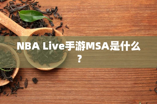 NBA Live手游MSA是什么？