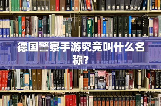 德国警察手游究竟叫什么名称？