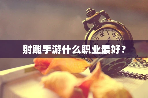 射雕手游什么职业最好？