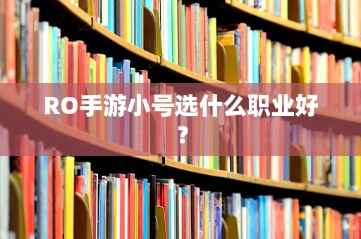 RO手游小号选什么职业好？