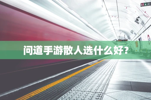 问道手游散人选什么好？