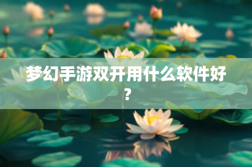 梦幻手游双开用什么软件好？