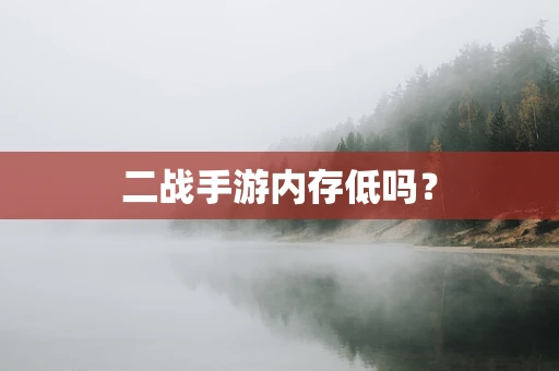 二战手游内存低吗？