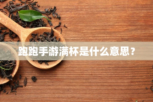 跑跑手游满杯是什么意思？