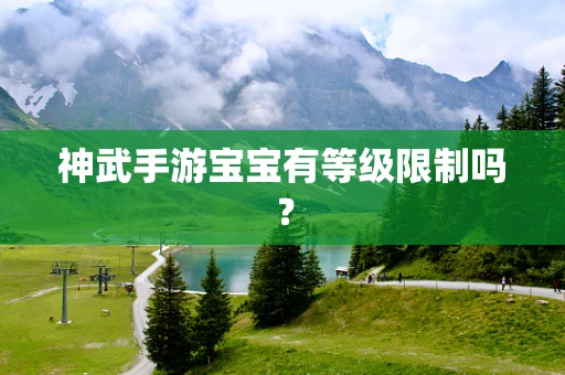 神武手游宝宝有等级限制吗？