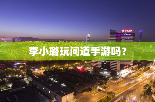 李小璐玩问道手游吗？