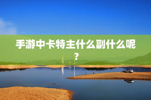 手游中卡特主什么副什么呢？