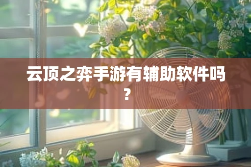 云顶之弈手游有辅助软件吗？