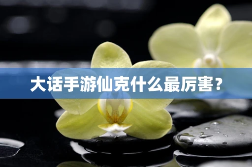 大话手游仙克什么最厉害？