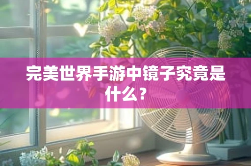完美世界手游中镜子究竟是什么？