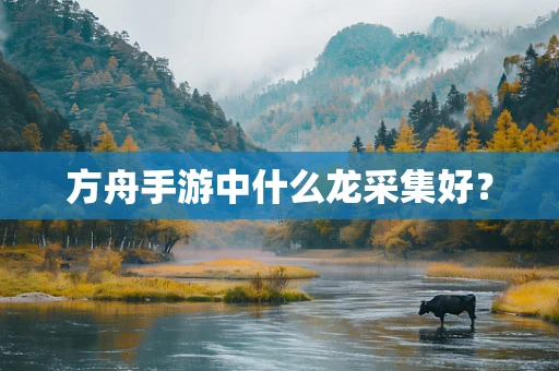 方舟手游中什么龙采集好？