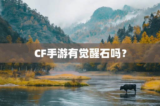 CF手游有觉醒石吗？