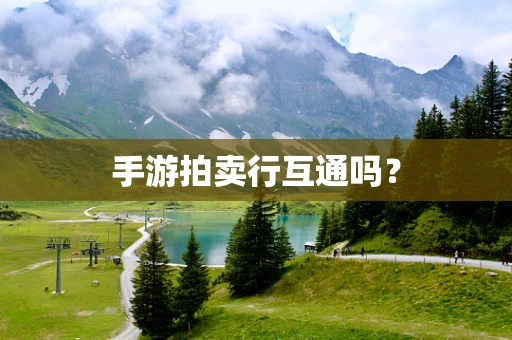 手游拍卖行互通吗？