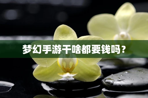 梦幻手游干啥都要钱吗？