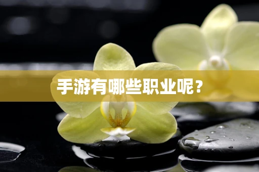 手游有哪些职业呢？