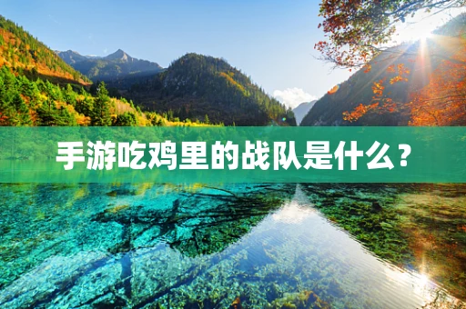 手游吃鸡里的战队是什么？