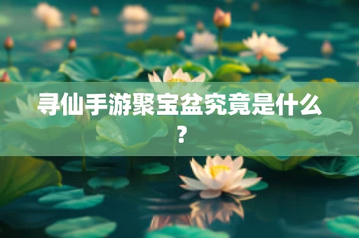 寻仙手游聚宝盆究竟是什么？