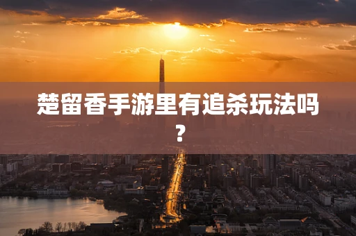 楚留香手游里有追杀玩法吗？