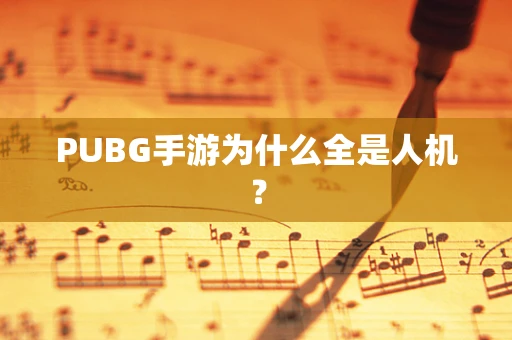 PUBG手游为什么全是人机？
