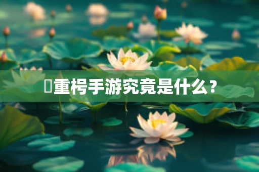 炂重枵手游究竟是什么？