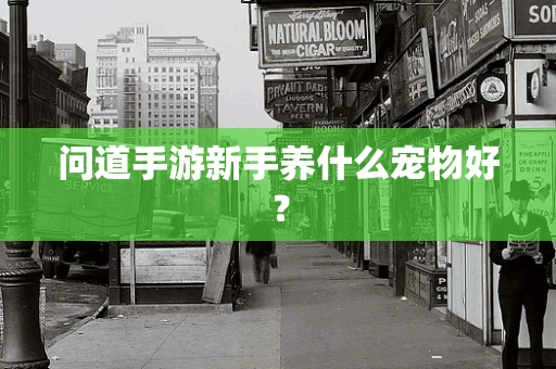 问道手游新手养什么宠物好？