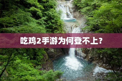 吃鸡2手游为何登不上？