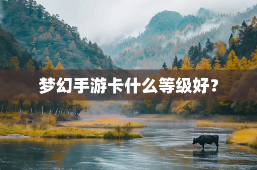 梦幻手游卡什么等级好？