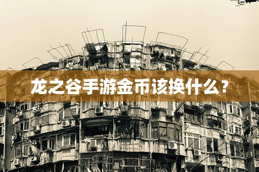 龙之谷手游金币该换什么？