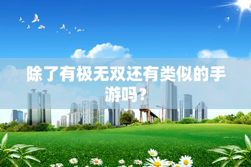 除了有极无双还有类似的手游吗？