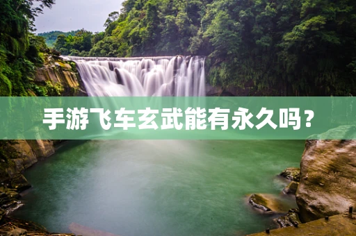 手游飞车玄武能有永久吗？