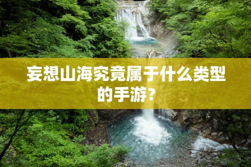 妄想山海究竟属于什么类型的手游？