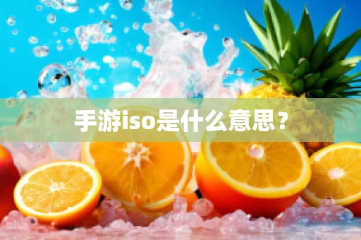 手游iso是什么意思？