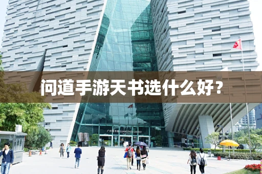 问道手游天书选什么好？