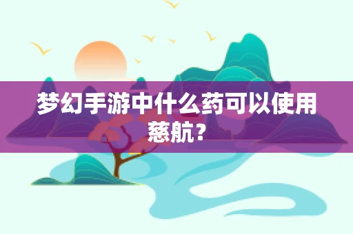 梦幻手游中什么药可以使用慈航？