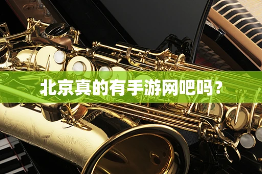 北京真的有手游网吧吗？